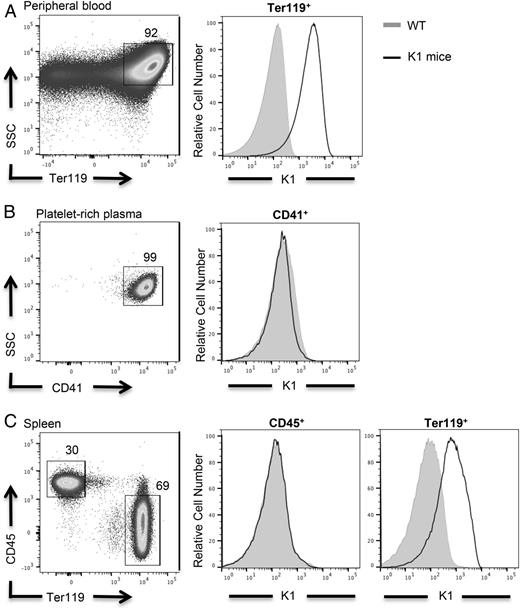 Type I IFN Is Necessary and Sufficient for InflammationInduced Red