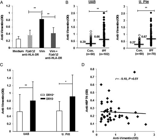 FIGURE 5. Anti-vimentin autoantibodies, HLA-DRβ1*15 biases, and discordance between two autoantibody responses in IPF patients. (A) Incubation of IPF PBMC cultures with native vimentin (Vim; 1 μg/ml) and without (Medium) increased levels of anti-vimentin autoantibodies; these responses were blunted by prior addition of F(ab′)2 anti-human HLA-DR (2 μg/ml). (B) Plasma levels of anti-vimentin IgG autoantibodies were greatest among IPF patients in each cohort. Horizontal lines and numbers denote median values. (C) Anti-vimentin autoantibody concentrations were lower among the IPF patients who were positive for HLA-DRβ1*15 at UAB and U. Pitt. (see also Supplemental Table I). (D) There were no apparent correlations between autoantibody responses to vimentin and HSP70 among the IPF subjects (U. Pitt.) who had received equal measures of each. *p < 0.01, **p < 0.001.