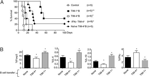 FIGURE 3. TIM-4+ B cells inhibit, whereas TIM-1+ B cells promote, islet GS. (A) Kaplan–Meier plots showing graft survival of B6 islet allografts in B cell–deficient (JHD) recipients that were left untreated (control) or received 5 × 106 TIM-1+CD19+ or TIM-4+CD19+ B cells from (day-14) alloimmunized WT or IFN-γ−/− mice (BALB/c). *p < 0.05, **p < 0.01 versus control. (B) Frequency (mean ± SD) of Foxp3, IL-4, IL-10, and IFN-γ expression among endogenous splenic CD4+ T cells, as determined by flow cytometry, in mice 14 d after exposure to alloantigen (i.p. splenocytes) recipient mice, as described in (A) n = 3 mice per group. *p < 0.05 versus the other groups.