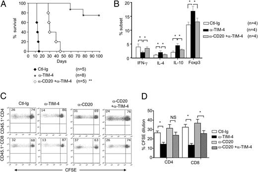 FIGURE 4. B lymphocytes are required for anti–TIM-4–mediated prolongation of GS. Chemically diabetic BALB/c recipients were left untreated or were subjected to B cell depletion with anti-CD20 (250 μg i.v. on days −14 and −1), followed by transplantation with B6 islets. Allograft recipients were treated with anti–TIM-4 (RMT4-53) or control Ig (0.5 mg on day −1 and 0.3 mg on days 0 and 5). (A) Kaplan–Meier plots of islet GS in recipients treated with control Ig, anti–TIM-4, or anti–TIM-4 plus anti-CD20. (B) Frequency (mean + SD) of IL-4, IL-10, IFN-γ, and Foxp3 expression by splenic CD4+ T cells on day14 after transplantation of BALB/c recipients (WT, IL-4–GFP reporter [4get], or IL-10–GFP [Tiger]), treated as described above. IL-4 and IL-10 were detected by GFP expression, whereas IFN-γ and Foxp3+ were detected by intracellular staining. (C and D) BALB/c recipients, treated as described above, received adoptive transfer of 106 CFSE-labeled CD45.1+ congenic T cells on day 0. (C) Representative flow cytometry plots showing proliferation (CFSE expression) of transferred CD4 and CD8 T cells on day 14 after transplantation. Numbers denote the percentage of gated cells within the respective quadrants (n = 3 mice per group). (D) Frequency (mean + SD) of proliferating CFSE-labeled T cells in mice, as described in (C). *p < 0.05. **p < 0.01 versus control or anti-CD20 group.