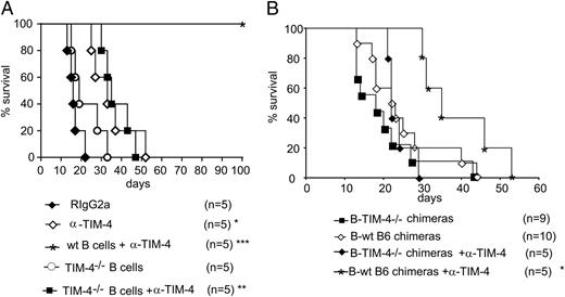 FIGURE 5. Prolonged GS mediated by anti–TIM-4 is dependent on TIM-4 expression on B cells. (A) Chemically diabetic μMT mice received no B cells, or they received 107 WT or TIM-4−/− syngeneic B cells, followed by transplantation with BALB/c islets (day 0). Allograft recipients were treated with anti–TIM-4 (RMT4-53) or isotype-control rat Ig (RIgG2a). Shown are Kaplan-Meier plots of graft survival. *p < 0.05, **p > 0.05 versus RIgG2a and anti–TIM-4 alone, ***p < 0.02 versus all other groups. (B) Bone marrow chimeras reconstituted with 90% μMT + 10% TIM-4−/− bone marrow (TIM-4−/− B cells) or control chimeras reconstituted with 90% μMT + 10% WT B6 bone marrow (WT B cells) were treated with anti–TIM-4 or control rat Ig, followed by transplantation with BALB/c islets. *p < 0.05 versus all other groups.