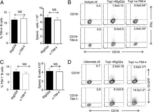 FIGURE 6. Anti–TIM-4 treatment inhibits IFN-γ expression by TIM-4+ B cells and augments IL-10 expression by TIM-1+ B cells in vivo. Alloimmunized BALB/c IL-10–GFP (Tiger) reporter mice were treated with RIgG2a or anti–TIM-4. On day 14, splenic B cells were evaluated for the frequency (mean + SD) and number (mean + SD) of B cells per spleen expressing TIM-4 (A) or TIM-1 (C) and for cytokine expression by splenic total (CD19+ B cells) and TIM-4+ (B) or TIM-1+ (D) B cells by FACS. IL-10 was detected by GFP expression, whereas IFN-γ was detected by intracellular staining. n = 3 per group. *p < 0.05.