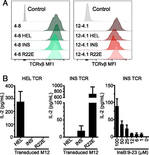FIGURE 1. Reactivity of 2A-linked αβTCR and Ii-80 peptide transduced cells in vitro. (A) Individual retroviral constructs were transduced into 293T HEK cells to evaluate for TCR surface expression via flow cytometry. (B) Retroviral vectors were transduced into M12.C3 I-Ag7–expressing B cell lymphoma cell lines to verify presentation of the Ii-80 fusion peptide on MHC-II. IL-2 expression from 14H4-HEL–specific T cells (left) and P2-INS–specific T cells (middle) when presented with Ii-80 HEL, INS, and R22E transduced M12 cells. T cell reactivity to titrating concentrations (μM) of insulin B9–23 incubated with M12 APCs (right).