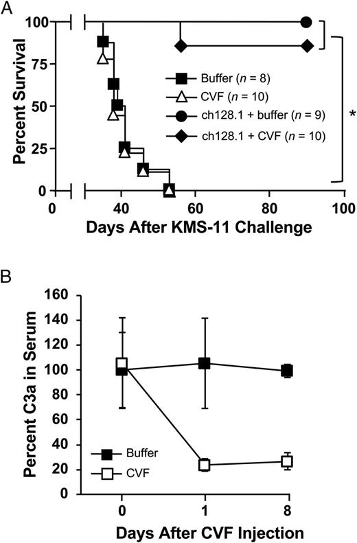 FIGURE 4. Role of the complement pathway in ch128.1-induced antitumor activity. (A) Kaplan–Meier plot indicates survival of SCID-Beige mice challenged i.v. with 5 × 106 KMS-11 human MM cells. Mice were injected i.v. 2 d after tumor challenge with 100 μg ch128.1. Complement depletion was achieved by injecting 25 U CVF i.p. on the day of tumor challenge and on days 3, 6, and 9. PBS was used as negative control. *p < 0.0001. (B) Confirmation of complement depletion. Blood from mice was collected before CVF injection (day 0) and on days 1 and 8. Serum C3a levels were examined by ELISA. Pooled sera collected at designated time points (n = 3–5, 1:500 dilution) were added to an ELISA plate coated with a rat anti-mouse C3a Ab. Binding was detected using biotinylated rat anti-mouse C3a, AP-conjugated streptavidin Ab, and AP substrate. Values were normalized to the concentration of C3a in serum, where percent at initial time point was set at 100. Error bars show SD of samples in triplicate. Data are representative of two independent experiments.