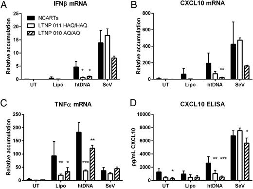 FIGURE 2. Reduced innate immune responses to DNA in PBMCs from STING variant-carrying LTNPs compared with controls. mRNA accumulation levels of IFN-β (A), TNF-α (B), and CXCL10 (C) in PBMCs after 6 h stimulation. Protein expression levels of CXCL10 in supernatants from PBMCs 24 h poststimulation (D). Technical triplicates from LTNP 011 and LTNP 010 are compared with pooled age- and gender-matched NCART 011 and NCART 010. Simulations and mRNA measurements in LTNP 010 are representative results from two independent experiments; for LTNP 011, the experiment was only performed once because of limited sample material. Means with SDs are shown. Statistics were performed by multiple t test comparison: *p ≤ 0.05, **p ≤ 0.01, ***p ≤ 0.001. htDNA, herring testes dsDNA; Lipo, Lipofectamine 3000; NCARTs, noncontrollers on ART; SeV, Sendai virus; UT, untreated.