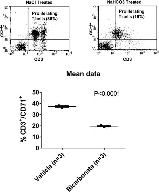 FIGURE 5. MLR. Top, Representative flow cytometry dotplots depict cellular proliferation of T cells after 96 h of incubation with mixed splenocytes from animals either treated with oral NaCl (left, 0.1 M for 3 d) or NaHCO3 (right, 0.1 M for 3 d). x-axis, CD71+ cells. y-axis, CD3+ cells. Mean data ± SE as well as individual animal data (circles; n = 3 for each TXT group), are shown in the lower panel. P = result of unpaired t test.