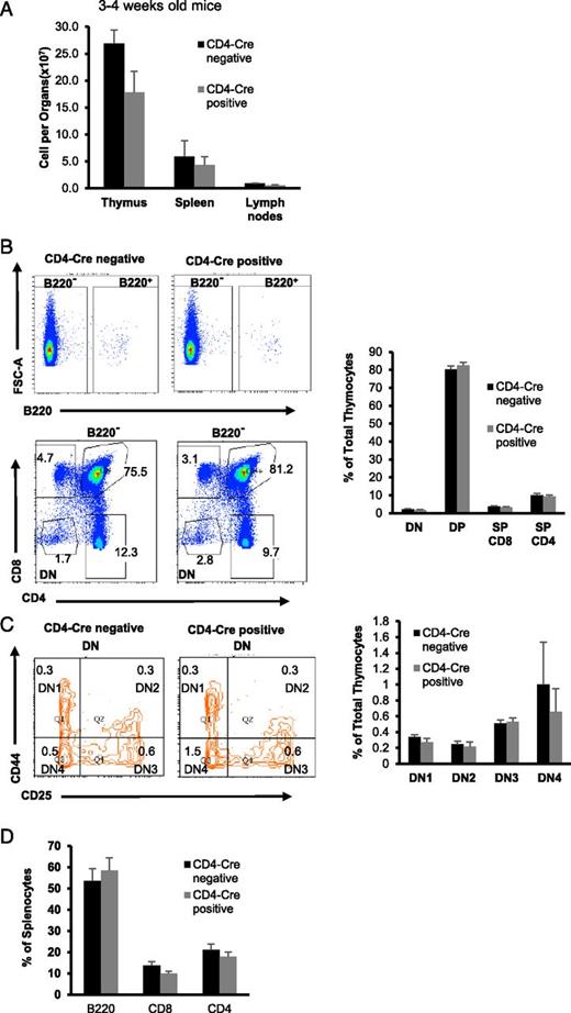 FIGURE 4. CD4-Cre–mediated conditional deletion of EHD1, EHD3, and EHD4 does not impact thymic T cell development in non–TCR-transgenic mice. (A) Cell numbers were counted in single-cell preparations of the indicated lymphoid organs of 3- to 4-wk-old CD4-Cre+ and CD4-Cre− (control) mice; n = 4. (B and C) Analyses of thymic developmental stages in CD4-Cre+ and CD4-Cre− mice are shown. (B) The left panels show representative FACS plots with gating strategies used for analysis of cell subsets and developmental stages in thymocytes of 3- to 4-wk-old mice. The numbers in quadrants represent the mean percentage of total thymocytes. The right panels show quantification of results shown in the left panels. (C) The left panel show FACS plots with gating strategies for the double-negative stage and the right panel shows the quantification of relative percentages of cell subsets; n = 4. (D) Spleens from 3- to 4-wk-old CD4-Cre+ and CD4-Cre− mice were analyzed by FACS for markers of B cells (B220+), CD8+ T cells, and CD4+ T cells (n = 4). All values are plotted as mean ± SEM for the indicated sample size. DN, double-negative; DP, double-positive; SP, single-positive.