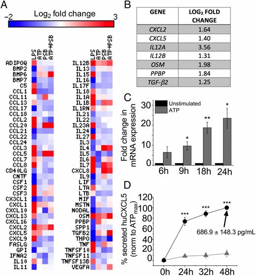 FIGURE 4. ATP induced the expression of various genes in human MDMs. (A) Heat map summarizing expression data for 74 genes exhibiting differential expression across various stimulation (LPS, ATP, PSB-12062, and ATP + PSB-12062) at 6 h. Expression of genes are presented by intensity of color as log2 fold change and averaged over three independent donors for all conditions, except LPS treatment consisting of one donor. (B) ATP positively induced the expression of seven genes. Fold change represented as log2 values (n = 3 donors). (C) qRT-PCR analysis of effect of blocking P2X4 (10 μM PSB-12062) over different time points (6, 9, 18, and 24 h) (n = 6 donors). (D) Time-dependent effect of ATP on CXCL5 protein secretion as quantified using ELISA (n = 7–9 donors). The absolute amount of CXCL5 secreted by maximal ATP (ATPmax) at 48 h is indicated by black arrow. Statistical significance is represented as *p < 0.05, **p < 0.01, ***p < 0.001.