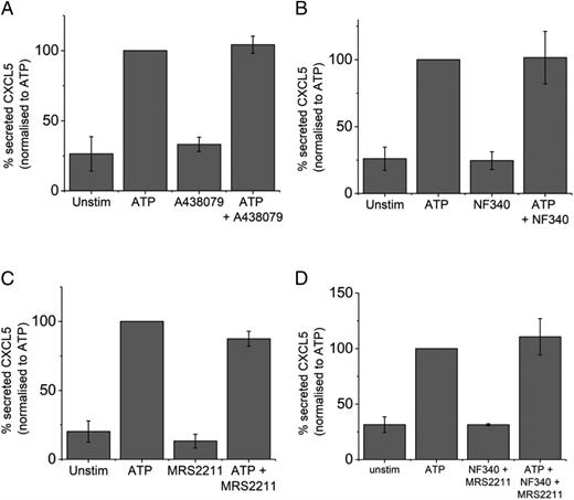 FIGURE 6. P2X7, P2Y11, and P2Y13 receptors do not regulate ATP-induced protein secretion of CXCL5 at 48 h in human MDMs. Effect of: (A) selective P2X7 receptor antagonist (5 μM A438079, n = 3 donors), (B) selective P2Y11 receptor antagonist (10 μM NF340, n = 4 donors), and (C) selective P2Y13 receptor antagonist (10 μM MRS2211, n = 6 donors) on ATP-induced CXCL5 secretion. (D) Effect of coapplication of both P2Y11 (NF340) and P2Y13 (MRS2211) antagonists on ATP-induced CXCL5 secretion (n = 3 donors).