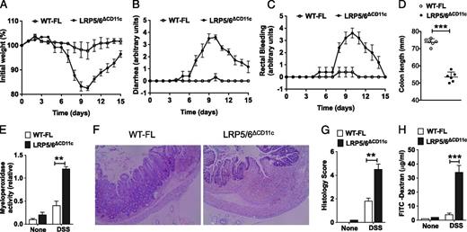 FIGURE 1. Increased susceptibility of LRP5/6ΔCD11c mice to lethal colitis. WT-FL and LRP5/6ΔCD11c mice were treated with 2% DSS (36–50 kDa) in their drinking water for 7 d before returning to normal water, and at day 10, the colons of mice were analyzed for inflammation. (A–D) Change in body weight, diarrhea, rectal bleeding, and colon length of WT-FL and LRP5/6ΔCD11c mice (n ≥ 5). (E) Myeloperoxidase activity in colon (n ≥ 5). (F) Representative images of H&E-stained colonic sections from DSS-treated WT-FL and LRP5/6ΔCD11c mice (original magnification ×100). (G) Histopathological score (inflammation + epithelial damage) of colons was graded following analysis of H&E-stained cross-sections of colons of DSS-treated WT-FL and LRP5/6ΔCD11c mice. (H) Mice were fed with FITC–dextran on day 10, and 4 h later FITC–dextran was quantified in serum (n = 5). Values are mean ± SEM or representative of at least two independent experiments. **p < 0.01, ***p < 0.001.