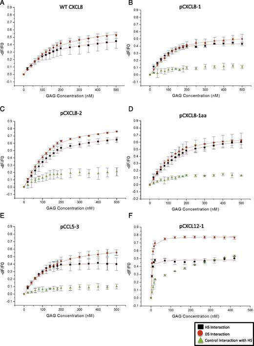 FIGURE 2. Binding isotherms of peptide interactions with GAGs. Isothermal fluorescent titration binding of peptide is shown to either HS (black) or DS (red). Control peptide interaction with HS is shown in green. (A) WT CXCL8, (B) pCXCL8-1, (C) pCXCL8-2, (D) pCXCL8-1aa, (E) pCCL5-3, and (F) pCXCL12-1. On the y-axis, the relative change in fluorescence intensity following ligand addition is displayed: dF = F (fluorescence emission at a certain GAG concentration) − F 0 (fluorescence emission in the absence of ligand). Kd based on line of best fit taken from the mean of three separate experiments ± SD.
