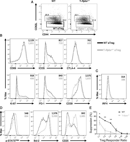FIGURE 4. mTORC1 is crucial in maintaining the eTreg phenotype. (A) Percentage of splenic eTregs and cTregs was examined between WT and T-Rptor−/− mice. (B) Flow cytometry comparison of effector molecule expression between WT and T-Rptor−/− eTregs from spleen. (C) Flow cytometry comparison of IRF4 between WT and T-Rptor−/− eTregs from spleen. (D) Flow cytometry comparison of cTreg molecules between splenic eTregs among WT and T-Rptor−/−. (E) WT and T-Rptor−/− Tregs were isolated from spleen and titrated in a different ratio to responder cells to assess the ability of Tregs to suppress in vitro. Two-way ANOVA with Bonferroni multiple comparisons test. Data are representative of at least three independent experiments. *p < 0.05, **p < 0.005.