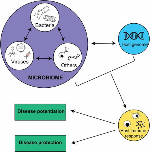The Intestinal Virome And Immunity The Journal Of Immunology 