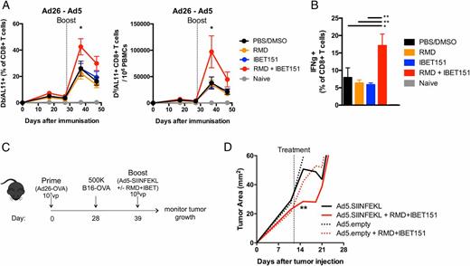 FIGURE 1. RMD+IBET151 increases adenoviral vector–elicited T cell responses and confers superior protection against B16 melanoma. (A and B) C57BL/6 mice were primed with Ad26 (109 vp) and boosted with Ad5 (109 vp) in combination with RMD, IBET151, RMD+IBET151, or PBS/DMSO. (A) Frequency and number of Gag-specific CD8+ T cells in the blood. (B) Frequency of Gag-specific IFN-γ+ CD8+ T cells in the spleen. (C) Experimental outline of B16-OVA challenge. (D) Tumor area measurements following B16-OVA tumor injection into primed mice and during therapeutic vaccination treatments. Each dot represents an individual mouse. n = 4–10 per group per experiment. Data are presented as means ± SEM. *p < 0.05, **p < 0.01, Student t test.
