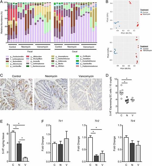 FIGURE 1. Effects of antibiotic administration on gut microbiota, 5-HT, and TLR2. C57BL/6 mice received either sterilized water (C = control) or antibiotics (10 mg/ml neomycin (N) or 0.5 mg/ml vancomycin [V]; n = 4–7 mice per group) in drinking water (sterilized water). The experiment lasted 7 d during which time weight, water, and food intake were recorded and daily s.c. saline injections were administered to all mice to prevent dehydration. At day 7, mice were sacrificed, and colonic, cecal, and fecal samples were collected for further analysis. (A) Relative abundance of genera that appeared >3% across all samples were visualized in the microbial analysis. (B) Principal coordinates analysis plots of the Bray–Curtis dissimilarity metric were colored by treatment, and PERMANOVA statistical testing revealed significant association by treatment in both cecal and fecal samples (p = 0.00001 for both plots). Numbers in brackets indicate the degree of variance explained by the PCo. PCo, principal coordinate. (C) Representative micrographs of 5-HT–expressing EC cells following immunostaining (brown) in the colonic sections of control, neomycin-, and vancomycin-treated mice. Colonic sections were visualized using a Nikon Eclipse 80i microscope (original magnification ×10). (D) 5-HT–expressing EC cells per 10 crypts in the colon. (E) 5-HT content in the colonic tissues as determined by ELISA. (F) Quantitative RT-PCR to determine colonic Tlr1, Tlr2, and Tlr4 mRNA expression normalized to GAPDH reference gene. Unpaired Student t test and one-way ANOVA with Dunnett multiple comparisons were used to analyze statistical differences. Data are represented as either mean or mean ± SEM where applicable. *p < 0.05; n.s., not significant.