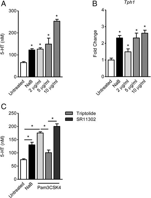 FIGURE 5. Activation of TLR2 by Pam3CSK4 increases 5-HT levels in vitro. BON-1 cells were treated with Pam3CSK4 (2, 5, and 10 μg/ml) for 24 h. The supernatants and cell pellets were collected to access (A) 5-HT levels upon Pam3CSK treatment. (B) Tph1 expression normalized to 18s rRNA housekeeping gene determined by quantitative RT-PCR. Sodium butyrate (NaB; 1 mM) was used as a positive control for 5-HT release. (C) 5-HT levels after pretreatment with either NF-κB inhibitor (Triptolide: 20 nM) or AP-1 inhibitor (SR-11302: 1 μM) for 1 h and subsequent activation with Pam3CSK4 (10 μg/ml) for 24 h. Where applicable, unpaired Student t test and one-way ANOVA with Dunnett multiple comparisons were used to analyze statistical differences. Data are representative of three independent experiments and represented as mean ± SEM. *p < 0.05.