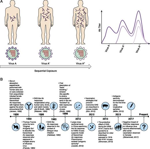Original Antigenic Sin How First Exposure Shapes Lifelong Anti