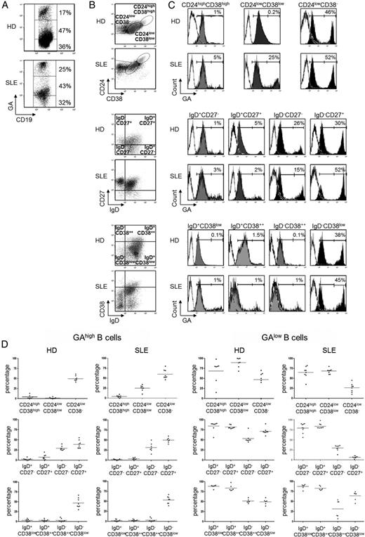 FIGURE 6. GA binds to the memory B cells of peripheral blood. Peripheral blood B cells from HD and SLE patients were analyzed after staining with FITC-conjugated GA and (A) anti-CD19 mAb and (B) combinations of anti-CD19/anti-CD24/anti-CD38, anti-CD19/anti-IgD/anti-CD27, and anti-CD19/anti-IgD/anti-CD38 mAbs. Representative examples of eight independent experiments. (C) Binding of FITC/GA on the B cell subsets. Representative examples of eight independent experiments with FITC-BSA negative control shown as white histograms. (D) Distribution of the B cell subsets within the GAhigh and GAlow B cells.