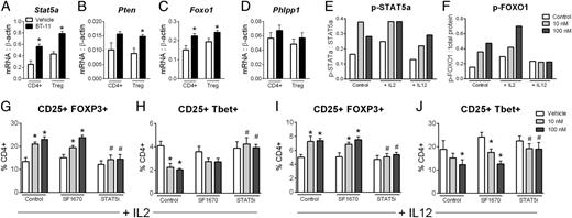 FIGURE 7. BT-11 increases STAT5 phosphorylation to establish stable CD25+ cellular differentiation. Expression of Stat5a (A), Foxo1 (B), Pten (C), and Phlpp1 (D) by quantitative real-time PCR in CD4+ T cells and CD25+ Tregs isolated from the colons of vehicle- and BT-11–treated Mdr1a−/− mice at 10 wk of age during active disease. Normalized expression of p-STAT5a (E) and p-FOXO1 (F) by Western blot in in vitro–differentiated Tregs with vehicle or BT-11 (10, 100 nM), with or without IL-2 (10 ng/ml) or IL-12 (10 ng/ml). Differentiation into CD25+ FOXP3+ (G) and CD25+ Tbet+ (H) cells in differentiation media containing IL-2 (10 ng/ml) and inhibitors SF1670 or STAT5i by flow cytometry. Differentiation into CD25+ FOXP3+ (I) and CD25+ Tbet+ (J) cells in differentiation media containing IL-12 (10 ng/ml) and inhibitors SF1670 or STAT5i by flow cytometry. Data are displayed as mean with SEM (n = 8). Statistical significance (p < 0.05) by treatment is indicated by an asterisk (*) and by inhibitor presence by a number symbol (#).