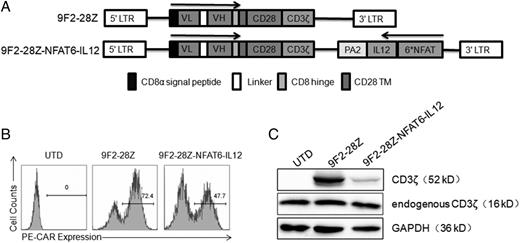 FIGURE 1. Construction of GPC3-28Z-NFAT-IL-12 T cells. (A) Schematic representation of GPC3-specific CAR (GPC3-28Z) and GPC3-28Z-NFAT-IL-12. (B) GPC3-CARs expression on human T cells transduced with lentiviruses encoding GPC3-28Z or GPC3-28Z-NFAT-IL-12 was detected by FACS. Untransduced T (UTD) cells were used as controls. (C) Western blot analysis of the CAR expression. A goat anti-human CD3ζ Ab was used to demonstrate the endogenous and chimeric CD3ζ proteins. The GAPDH served as a loading control.