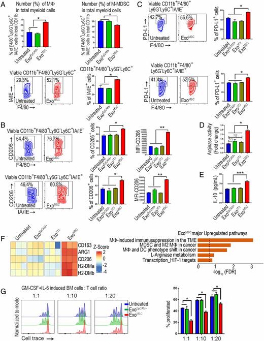 FIGURE 1. MSC-derived exosomes promote conversion of M-MDSCs into immunosuppressive macrophages. (A) BM-derived GM-CSF plus IL-6–induced myeloid cells treated with or without exosomes from EpCAM+ tumor cells or 3T3 or MSCs for 48 h. Bar graphs showing number (percentage) of M-MDSCs (CD11b+F4/80+Ly-6G−Ly-6C+IA/IE−) and macrophages (CD11b+F4/80+Ly-6G−Ly-6C+IA/IE+) among the total myeloid population analyzed by flow cytometry. Flow cytometry dot plots of IA/IE in untreated and MSC-derived exosome-treated cells gated for viable CD11b+F4/80+Ly-6G−Ly-6C+ cells. Bar graphs showing percentages of IA/IE+ cells in different treatment groups. Experiments were performed twice. (B) Dot plots showing CD206 expression in M-MDSCs (upper) and macrophages (lower) in untreated and MSC-derived exosome-treated cells. Bar graphs showing percentages of CD206+ M-MDSCs and mean fluorescence intensity of CD206 in M-MDSCs (upper); and CD206+ macrophages and mean fluorescence intensity of CD206 in macrophages (lower), in different treatment groups. Experiments were performed twice. (C) Dot plots showing PD-L1 expression in M-MDSCs (upper) and macrophages (lower) in untreated and MSC-derived exosome-treated cells. Bar graphs showing percentages of PD-L1+ M-MDSCs (upper), and PD-L1+ macrophages (lower) in different treatment groups. Experiments were performed twice. (D) Bar graph showing arginase activity of GM-CSF plus IL-6–induced BM-derived myeloid cells upon treatment with or without EpCAM+ tumor cells or 3T3 or MSCs-derived exosomes for 48 h. Experiments were performed three times. (E) Bar graphs showing IL-10 concentration in conditioned media from BM-derived myeloid cells upon treatment with or without EpCAM+ tumor cells or 3T3 or MSCs-derived exosomes for 48 h. Experiments were performed three times and ELISA was performed with four replicates from each. (F) Heat map showing (left) differences in Z-scores for indicated genes in BM-derived myeloid cells upon treatment with or without EpCAM+ tumor cells or 3T3 or MSC-derived exosomes for 48 h. Graph (right) showing major upregulated pathways exclusively observed MSC exosome–treated BM-derived myeloid cells calculated and represented as −log10 values of false discovery rate (FDR). Experiments were performed in triplicate. (G) Dilution of CTV in labeled T cells activated with anti-CD3/CD28 Abs and cocultured with increasing ratios of BM-derived myeloid cells treated with or without EpCAM+ tumor cells or MSCs-exosomes for 48 h. Bar graph showing percentage of T cells proliferated after incubation with BM-derived myeloid cells for 3 d. Experiments were performed three times. *p < 0.05, **p < 0.01, ***p < 0.001. NS, not significant.