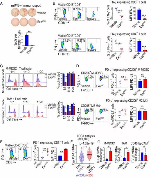 FIGURE 3. MSC-derived exosomes dampen antitumor T cell responses. (A) ELISpot analysis of CD8+ T cells isolated from draining lymph nodes of Brpkp110 tumor-bearing mice stimulated with irradiated tumor cell–pulsed BMDCs. (B) Representative flow cytometry analyses of IFN-γ production by CD8+ and CD4+ T cells from ExoMSC or vehicle tumors, preinduced with PMA (20 ng/ml), ionomycin (1 μg/ml; Sigma-Aldrich), and GolgiStop (0.8 μl/106 cells) for 4 h. An isotype control was used to set the gate for intracellular IFN-γ signal. Scatter graphs showing percentages of CD8+ and CD4+ cells from ExoMSC or vehicle tumors expressing IFN-γ; bar graphs showing IFN-γ mean fluorescence intensity (n = 5 per group; two experiments). (C) Dilution of CTV in labeled T cells activated with anti-CD3/CD28 Abs and cocultured with increasing ratios of IA/IE− M-MDSCs or IA/IE+ macrophages. Experiments were performed twice. (D) Representative flow cytometry analyses showing PD-L1 expression by CD206+ M-MDSCs and CD206+ M2 macrophages. Scatter graphs showing percentages of CD206+ M-MDSCs and CD206+ M2 macrophages from ExoMSC or vehicle tumors expressing PD-L1; bar graphs showing PD-L1 mean fluorescence intensity (n = 5 per group; two experiments). (E) Representative quantification of PD-1+ T cells (n = 5 per group; two experiments) and intensity of PD-1 expression on T cells (n = 5 per group; one representative experiment of two) in tumors from ExoMSC and vehicle group. (F) Scatter plot of log2 PD-1 mRNA expression from TCGA dataset (n = 1100) comparing breast tumors with the strongest CD271 (n = 250) and weakest CD271 (n = 250) expression. (G) Tgfb mRNA expression in tumor-sorted M-MDSCs (left), TAMs (middle), and CD45−EpCAM+ cancer cells (right). Experiment was performed twice. *p < 0.05, **p < 0.01, ***p < 0.001. NS, not significant.