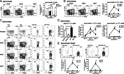 FIGURE 2. γδ T cells are the main producers of IL-17A in the pancreas during early stage of CVB3 infection. C57BL/6 mice were infected i.p. with 2 × 103 TCID50 CVB3. Six to eight mice were sacrificed 0, 3, and 7 dpi, and immune cells were isolated from pancreas and analyzed. (A) Representative flow cytometry plots and quantitative summary of CD4+ T cells and γδ+ T cells in the infected pancreas at 0, 3, and 7 dpi are shown. (B–E) The pancreatic lymphocytes were stimulated with PMA and ionomycin for 4 h. The cells were stained with mAb against surface markers of each T cell subset, then intracellularly with anti–IL-17A mAb and analyzed by flow cytometry. Representative flow cytometry plots and proportions of IL-17A–producing CD3+ T cells among CD45+ lymphoid cells are shown (B). IL-17A+ CD3+ T cell populations from pancreas were further analyzed for TCRδ and CD4 expression by flow cytometry (C). Proportion of IL-17A–producing T subsets (CD4+, CD8+, TCRδ+, and NK1.1+ cells) among CD3+ T cells, IL-17A+γδ+T, and IL-17A+Th17 cells among CD3+T, γδ+T, or CD4+ T cells in CVB3-infected pancreas are shown (D). (E) At 3 dpi, pancreatic γδ T cells were stained with anti-TCR Vγ1 and Vγ4 mAbs, then intracellularly stained with anti–IL-17A mAbs. Representative flow cytometry plots and quantitative summary of IL-17A+Vγ1 and IL-17A+Vγ4 T cells among γδ+ T cells are shown. Data represent the mean ± SEM (n = 6–8) from three independent experiments. *p < 0.05, **p < 0.01, ***p < 0.001. ns, not significant.