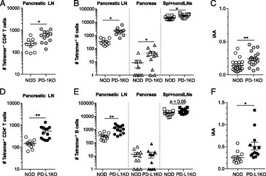 FIGURE 1. Loss of PD-1 or PD-L1 results in increased numbers of insulin-specific CD4+ T and B cells and increased IAA production. (A and D) Number of insB10–23:I-Ag7 tetramer+ CD4+ T cells in the pLN of 5–7-wk-old NOD, PD-1KO, and PD-L1KO mice (n = 9–13 per group). (B and E) Number of insulin tetramer+ B cells in the spleen plus nondraining lymph nodes (Spl+nondLNs; which include the inguinal, axillary, brachial, and cervical lymph nodes) in NOD, PD-1KO, and PD-L1KO mice (n = 9–13 per group). (C and F) IAA ELISA OD measurements at 405 nm (n = 19–22). (A–F) Data are compiled from three to four independent experiments. Statistical significance was determined by unpaired Student t test. *p < 0.05, **p < 0.01.