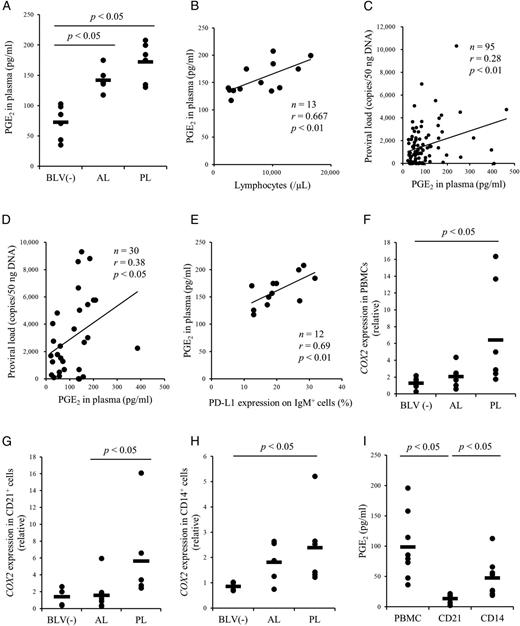 FIGURE 1. Kinetic analysis of PGE2 in cattle infected with BLV. (A) Plasma PGE2 concentration in cattle uninfected (n = 6) or infected with BLV (AL, n = 7; PL, n = 6) were determined using ELISA. (B–E) Positive correlation between the lymphocyte number (n = 13), proviral load (C: Japanese black cattle and first filial of Japanese black/Holstein cattle, n = 95; D: Holstein cattle, n = 30) or the percentages of PD-L1+ cells in IgM+ cells and plasma PGE2 concentration in cattle infected with BLV. (F–H) Quantification of COX2 mRNA expression in PBMCs [BLV (−), n = 7; AL, n = 7; PL, n = 7] and subpopulations of CD21+ [BLV (−), n = 4; AL, n = 7; PL, n = 6) and CD14+ [BLV (−), n = 4; AL, n = 5; PL, n = 6) cells derived from BLV-uninfected and BLV-infected cattle by qPCR. (I) Quantitation of PGE2 production in PBMCs, CD21+ cells, and CD14+ cells by ELISA (n = 8). Each symbol represents PGE2 concentration or relative expression level of each animal; pooled data from several experiments were analyzed by the Steel–Dwass test (A and F–I). Correlation statistic was analyzed using the Spearman correlation (B–E). BLV (−), BLV-uninfected cattle.