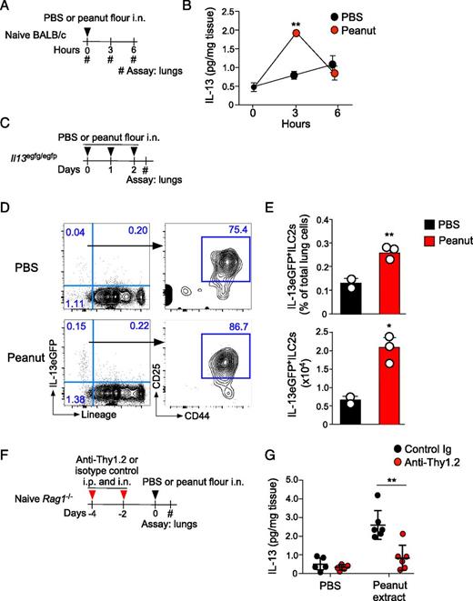 Group 2 Innate Lymphoid Cells Promote Development of T Follicular Helper Cells and Initiate