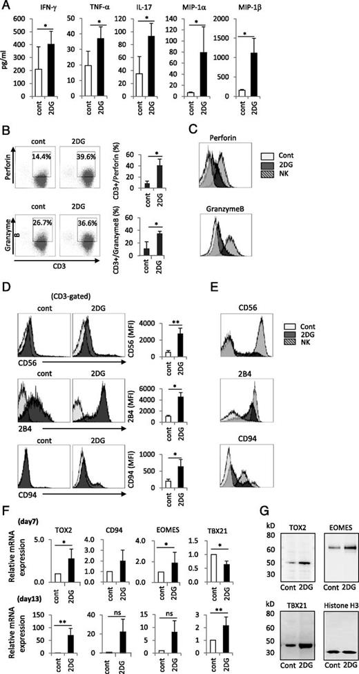 FIGURE 1. 2DG-treated T cells acquire NK cell properties. (A) Secretion of cytokines from T cells treated with or without 2DG, as determined by ELISA (n = 5). *p < 0.05 versus T cells treated without 2DG (control [cont]). (B) Representative flow cytometry and summary bar graphs showing the distribution of T cells expressing perforin and granzyme B. T cells were treated with or without 2DG (n = 4). Numbers in panels indicate the percentages of cells in each quadrant. *p < 0.05 versus T cells treated without 2DG (cont). (C) Representative flow cytometry showing the distributions of T cells, T cells treated with 2DG, and NK cells expressing perforin or granzyme B. (D) Representative flow cytometry and summary bar graphs showing the distribution of T cells expressing CD56, 2B4, and CD94 subsets. T cells were treated with or without 2DG (n = 4). (E) Representative flow cytometry showing the distributions of T cells, T cells treated with 2DG, and NK cells expressing CD56, 2B4, and CD94. (F) Quantitative PCR of TOX2, CD94, EOMES, and TBX21 mRNAs in T cells treated with or without 2DG for 7 (n = 4) or 13 d (n = 3). *p < 0.05, **p < 0.01 versus T cells treated without 2DG (cont). (G) Representative immunoblotting for TOX2, EOMES, and TBX21 in T cells treated with or without 2DG for 14 d (n = 3). MFI, mean fluorescence intensity. *p < 0.05, **p < 0.01 versus T cells treated without 2DG (control).