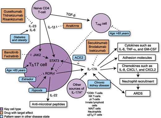FIGURE 1. Schematic showing Th17 differentiation and downstream signaling. Comorbidities of critical illness in COVID19 and their effects on Th17 signaling are depicted in blue. Inhibitors of Th17 signaling are depicted in orange.