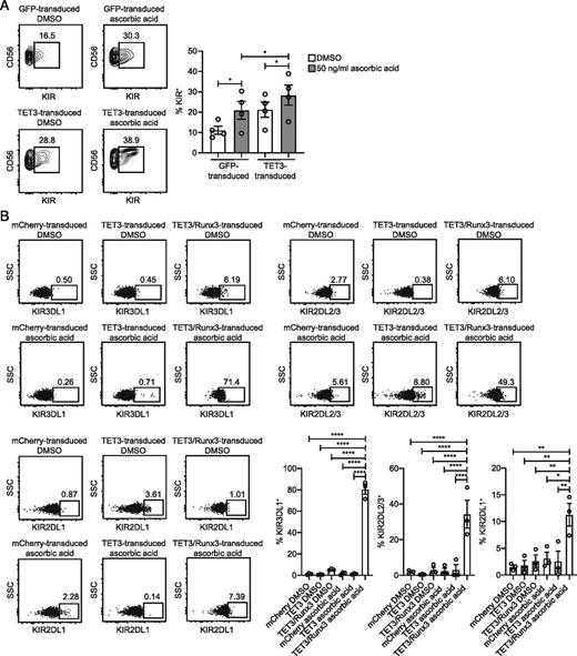FIGURE 5. TET3 and Runx3 promote KIR expression. (A) Sorted CD56bright NK cells (n = 4) were retrovirally transduced with a control GFP vector or a TET3 overexpression vector and cultured for 5 d on EL08-1D2 feeder cells with 10 ng/ml IL-15 and either DMSO or 50 ng/ml ascorbic acid. Shown are FACS plots of KIR (combination of KIR2DL1, KIR2DL2/3, and KIR3DL1) expression on GFP+ NK cells from each condition from a representative donor (left). Cumulative data from all four donors is also shown (right). Results are from two independent experiments. (B) NK-92 cells were transduced with a control mCherry vector or a TET3 overexpression vector. Transduced cells were sorted, and a population of cells transduced with the TET3 overexpression vector was transduced again with an Runx3 overexpression vector. NK-92 cells were then cultured for 5 d with 10 ng/ml IL-15 and either DMSO or 50 ng/ml ascorbic acid. Shown are FACS plots of KIR3DL1, KIR2DL2/3, and KIR3DL1 expression on transduced cells from each condition from a representative experiment. Cumulative data from three independent experiments is also shown. Data are shown as mean ± SEM. One-way ANOVA with multiple comparisons was used to determine statistical significance. *p < 0.05, **p < 0.01, ****p < 0.0001.