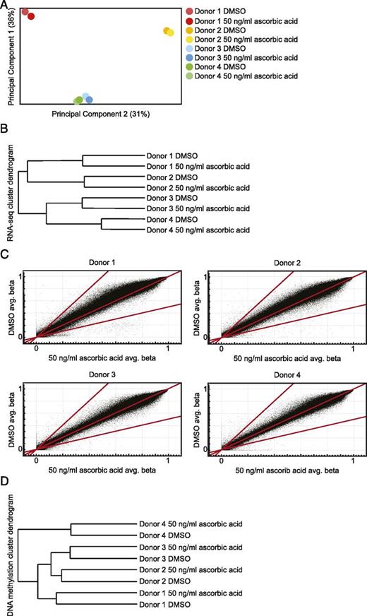 FIGURE 6. No evidence of genome-wide transcriptional or epigenetic alterations in CD56bright NK cell cultured with ascorbic acid. CD56bright NK cells were sorted from the peripheral blood of two healthy donors and cultured for 7 d on EL08-1D2 feeder cells with 10 ng/ml IL-15 and either DMSO or 50 ng/ml ascorbic acid (n = 4) in two independent experiments. Cells were then harvested and analyzed by RNA-seq and whole-genome DNA methylation arrays. (A) Principle components analysis and (B) hierarchical clustering of RNA-seq data from CD56bright NK cells from each donor cultured with and without ascorbic acid. (C) Scatter plots of average β-methylation intensity values for CD56bright NK cells from each donor cultured with DMSO compared with ascorbic acid. Red lines represent the line of best fit and cut offs for probes with >2-fold difference between culture conditions. (D) Hierarchical clustering of whole-genome DNA methylation array data from CD56bright NK cells from each donor cultured with and without ascorbic acid.