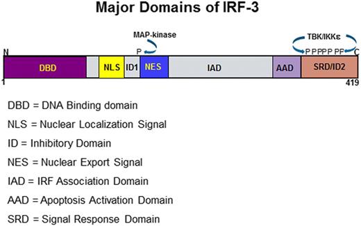 FIGURE 1. Functional domains of human IRF3 protein. Reprinted in adapted form from Moore et al. (145), Copyright 2011, with permission from Elsevier.