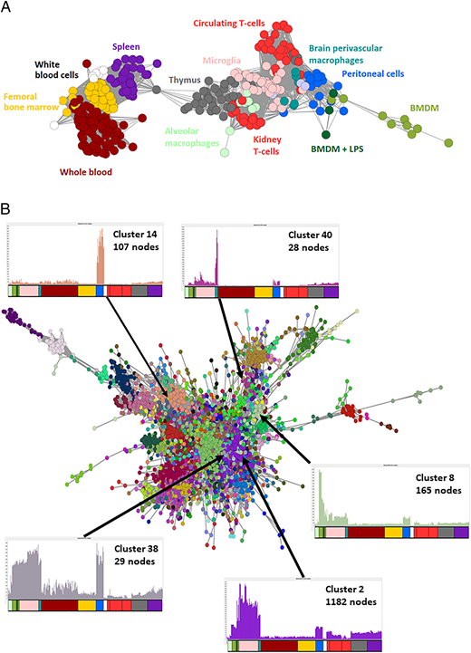 FIGURE 2. Network analysis of RNA-seq data derived from MPS cells. RNA-seq data available for rat MPS cells and various immune cells and tissues were extracted from a larger transcriptional atlas dataset and processed and randomly downsized as described in (102), which also describes comparative analysis of the rat BMDM data with similar data from other species. Network analysis was carried out using Biolayout (Biolayout.org). (A) Shown is the network graph of the sample-to-sample matrix clustered at r &gt; 0.7, in which each symbol is an individual sample. This is similar to a principal component analysis. The graph shows that, as expected, samples from the same tissue or cell population cluster together. Note that this is a two-dimensional (2D) representation of a three-dimensional (3D) graph. (B) Shown is the network graph of a gene-to-gene matrix in which each node is a gene and nodes that are correlated with each other at a Pearson correlation coefficient &gt;0.85 with an MCL of 1.7. The insets show the average expression profiles of clusters of genes that share expression in specific populations of macrophages. The primary data sources, color codes, and lists of coregulated transcripts are provided in Supplemental Table I and discussed in the text. The normalized transcripts per million (TPM) will be published as part of a rat transcriptional atlas and are available from the authors on request.
