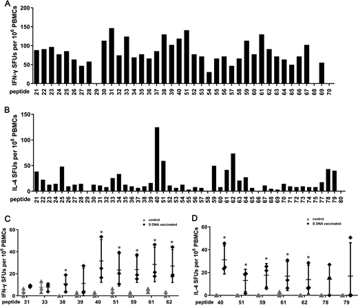 FIGURE 2. Identification of specific T cell epitopes recognized by the Th1 and Th2 pathways. (A) IFN-γ SFUs detected after treatment with the single peptides 21–40 and 51–70 contained in the peptide pools C, D, F, or G. (B) IL-4 SFUs detected after treatment with the single peptides 21–40 and 51–80 contained in the peptide pools C, D, F, G, or H. PBMCs from three S DNA–vaccinated macaques were mixed and detected in (A) and (B). (C and D) The detection of IFN-γ (C) or IL-4 (D) secretion by PBMCs. The treatments of macaques are described in (Fig. 1. Three macaques were involved in each group in (C) and (D). (A)–(D) were all detected by ELISPOT assay. An unpaired t test was used to detect significant differences between the control and S DNA–vaccinated groups. All data are presented as the mean ± SD. *p < 0.05, significantly different from the control group.
