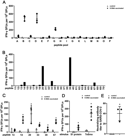 FIGURE 4. Identification of the T cell epitopes in the S protein in mice. (A) The number of IFN-γ–secreting mouse SPLs upon treatment with peptide pools A–P. (B) IFN-γ SFUs detected after treatment with the single peptides 11–20, 31–40, and 61–70 contained in peptide pools B, D, or G. (C) Detection of IFN-γ secretion after treatment with peptides 13, 14, 20, 33, 39, and 67. (D) The effect of the S1 protein and peptide mixture TeSmo on T cell IFN-γ secretion. (E) Detection of the titer of neutralizing Abs against SARS-CoV-2 in mice. ELISPOT assays were used in (A), (B), (C), and (D). Mice were vaccinated with 1.6 mg of full-length S protein–encoded DNA (S DNA vaccinated) or empty vector (control), spleens were collected at 14 d after vaccination, and SPLs were isolated. The results from three mice were included in each group in (C), (D), and (E) and in the S DNA–vaccinated group in (A); one mouse was used in the control group in (A). SPLs from three S DNA–vaccinated mice were mixed and detected in (B). An unpaired t test was used to detect significant differences between the control and S DNA–vaccinated groups. All data are presented as the mean ± SD. *p < 0.05, significantly different from the control group.