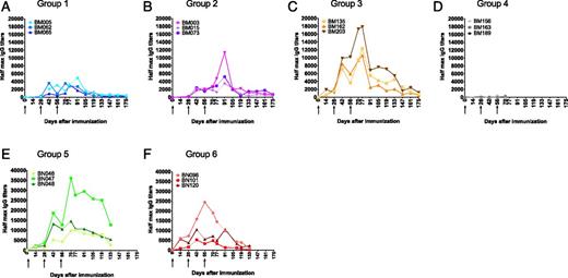 FIGURE 3. Half-max p67C-specific total IgG Ab titers present in sera in cattle from the immunogenicity studies (three animals per group). Ab titers were measured at different time points in individual animals in groups 1–6: (A) s-p67C, (B) SV-p67C, (C) HBcAg-p67C, (D) SV-p67C without ISA 206 VG adjuvant, (E) SV-p67C + HBcAg-p67C as two separate inoculations, and (F) SV-p67C + HBcAg-p67C as one inoculation. The black arrows mark the day of Ag inoculation. Note the difference in the y-axis scale for (A)–(D) versus (E) and (F).