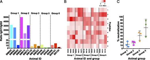 FIGURE 5. Anti-p67C Ab subtype responses, specificity to p67C synthetic peptides, and sporozoite-neutralizing activity in immunogenicity studies (three animals per group). (A) Serum samples from cattle at day 77 after the first Ag dose were used to measure IgG subtype responses, and the p67C-specific Ab IgG1/IgG2 ratios in sera from individual animal in groups 1–3 and 5–6 are shown. (B) Reactivity of the same sera with synthetic overlapping p67C peptides using a color-coded heat map generated with Heatmapper software based on peptide reactivity. (C) Sporozoite neutralization capacity of serum from individual animals and the group average and SD of sera from groups 1, 2, 3, and 5.