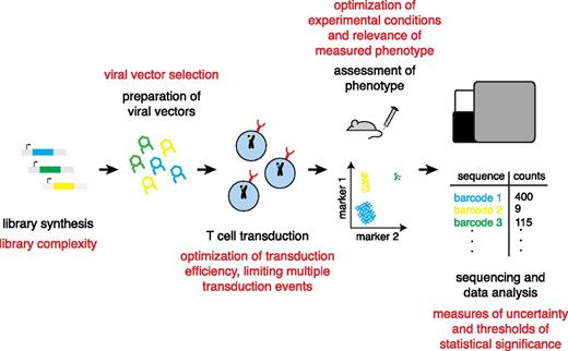 FIGURE 2. Functional genomic screens in T cell libraries of gene-specific nucleic acids (short hairpin RNAs [shRNAs] or CRISPR/Cas9-associated guide RNAs [gRNAs]) are introduced into viral vectors, which are subsequently transduced into T cells. These cells are then simultaneously tested for function either in mouse models or in vitro expression assays. High-throughput sequencing of DNA barcodes (typically the gene-specific nucleic acids) from the output of the function experiments allow for the matching of phenotype to targeted gene and undergo further statistical analysis. Acquisition of interpretable and meaningful data from these screens requires consideration and optimization of key experimental variables, denoted in red text, at each step of the experiment.
