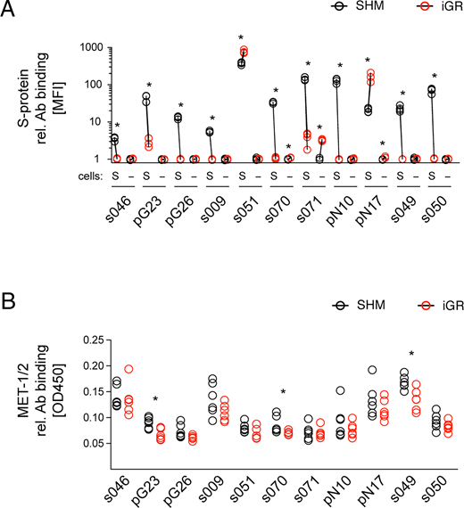 FIGURE 4. Reduced recognition of SARS-CoV-2 S-protein by iGR Abs. Flow cytometric assessment of Ab binding to stabilized S-protein–expressing cells (S) or HEK293F control cells (−) (A) and ELISA-based assessment of Ab binding to MET-1/2 commensal microbiota with unmodified (SHM, open black circles) or iGR (red open circles) Abs (B). Symbols represent MFI values normalized to negative controls in (A) and OD405 values after subtraction of negative control values in (B). Statistical significance was determined using Mann–Whitney U tests for each Ab pair and is indicated by asterisks: *p &lt; 0.05 (A, n = 4; B, n = 6).