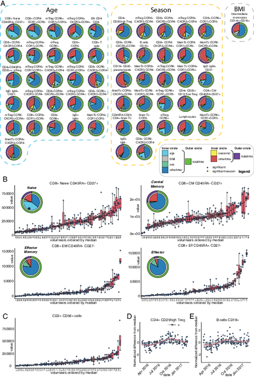 FIGURE 5. (A) Interindividual and intraindividual variation cell counts. Only cytokine–stimulus pairs that showed significant association with the age, sex, BMI, and season are shown. The pie charts are shown in a similar format as in (Fig. 2A. (B) Change in explained variance as CD8+ T cells mature from naive to effector cells, with example plots of its stability. Example plots show the individuals ordered by their median values, in which a boxplot is plotted with all individual measurements. Note that with just four measurements, a boxplot does not have a lot of meaning, so this is just for visualization purposes. (C) Stability of CD3+CD56+ T cells, similar plot as (B). (D) Example seasonality plot for CD4+CD25high Tregs. In this plot, for each individual, the median value over all four timepoints was subtracted from all four timepoints. This way, we are removing (most of) the interindividual variation, leaving just the intraindividual variation. This strategy was applied just for the visualization of the seasonality, and the statistical analyses are described in more detail in Materials and Methods. The fitted line and error range were plotted using the LOESS method of the geom_smooth function of the ggplot2 package and, again, is purely for visualization. (E) Similar to (D), but now for CD19+ B cells.