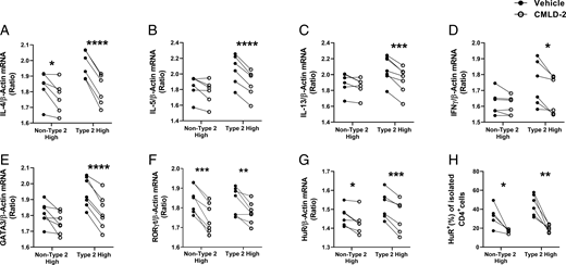 FIGURE 5. CMLD-2 treatment results in decreased steady-state mRNA levels of Th2 cytokines, GATA3 and HuR, in type 2 high asthmatics. (A–G) Isolated peripheral blood CD4+ T cells from type 2 high and non–type 2 high asthmatics (n = 6–7 in each group) were incubated with CMLD-2 (10 µg/ml) or vehicle for 2 h and then stimulated with anti-CD3/CD28 for 4 d. The steady state of mRNA of proinflammatory cytokines (A–D), GATA3 (E), RORγt (F), and HuR (G) was measured by quantitative PCR. HuR protein levels (H) from purified CD4+ cells were measured by flow cytometry. The values are presented as the ratio of the mRNA target to endogenous control β-Actin for mRNA data (A–G) and percentage of positive cells for HuR protein data (H). Data were analyzed by paired t test comparing CMLD-2 with vehicle within each group of non–type 2 high and type 2 high asthmatics. *p &lt; 0.05, **p &lt; 0.01, ***p &lt; 0.001, ****p &lt; 0.0001.