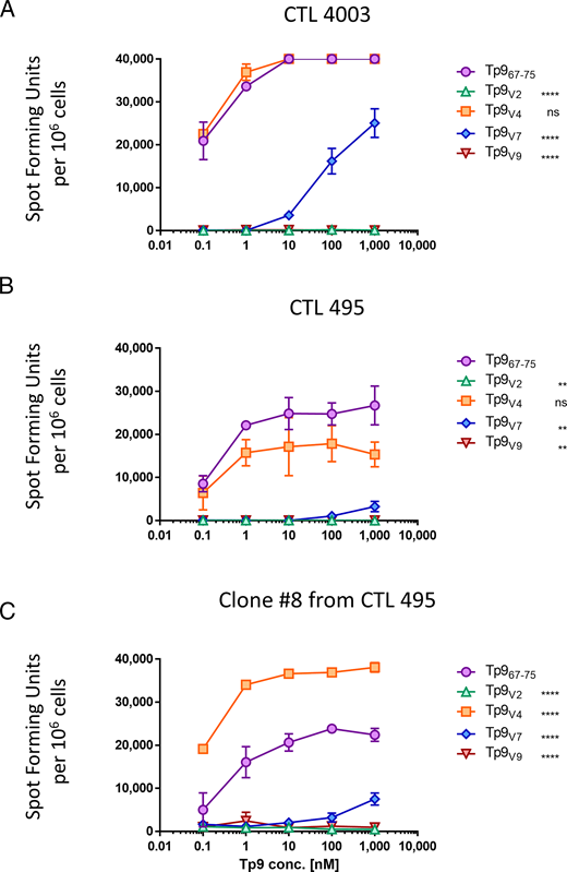 FIGURE 8. Reactogenicity determination of Tp9-specific CTL lines toward different concentration of Tp9 field variant epitopes. (A) ELISPOT assay with CTL 4003. (B) ELISPOT assay with CTL 495. (C) ELISPOT assay with a clone (clone 8) of CTL 495 with peptides ranging from 0.1 to 1000 nM. Mean and SD of a representative experiment are shown. nsp > 0.05, **p ≤ 0.01, ****p ≤ 0.0001. The experiment was repeated twice with duplicate measurements.