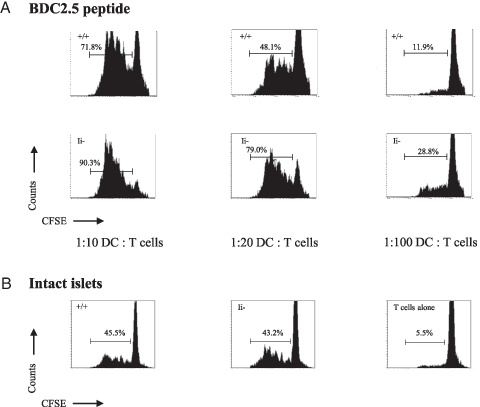 FIGURE 3. Presentation of islet Ags by Ii chain-deficient dendritic cells (DCs). A, CD11c+ splenic DCs from age-matched wild-type or Ii chain NOD mutants were incubated for 1 h with cognate peptide ligand, washed, and then cultured for 72 h with CFSE-labeled BDC2.5NOD T cells at various ratios as indicated. Representative profiles gated on Vβ4-positive cells from triplicate wells are shown. B, CD11c+ splenic DCs (1 × 104) were incubated for 3 h with macerated islets, subsequently washed, and then cultured for 72 h with 1 × 105 CFSE-labeled BDC2.5 NOD T cells. Wild-type and Ii chain mutant DCs display equivalent Ag presentation capabilities in the presence of peptide or intact islets.