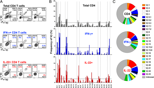 FIGURE 3. TCR Vβ repertoire of IFN-γ and IL-22–producing CD4+ T cells. (A) Representative flow cytometry plots showing staining of 9/24 Vβ receptors on total CD4+ T cells and IFN-γ– and IL-22–producing CD4+ T cells. (B) Bar graph (each bar represents a donor) and (C) summary pie chart showing expression of 24 Vβ receptors by total CD4+ T cells and IFN-γ– and IL-22–producing CD4+ T cells (n = 5). Means are depicted.