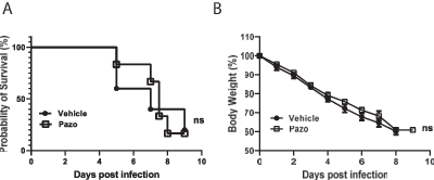 FIGURE 5. Pazopanib treatment does not affect survival of mice in MHV-1–induced lung injury model. (A and B) The effect of pazopanib on mortality (A) and weight change (B) in mice was examined in the MHV-1–induced ALI model. Experiments for (A) and (B) were conducted for twice with similar results (the first independent experiment contained five mice in the vehicle control group [vehicle] and six mice in the pazopanib treatment group [Pazo], and the second independent experiment contained seven mice per group). Data from the first independent experiment are shown in (A) and (B). Data in (A) are presented using a Mantel–Cox log-rank test. ns, not significant.