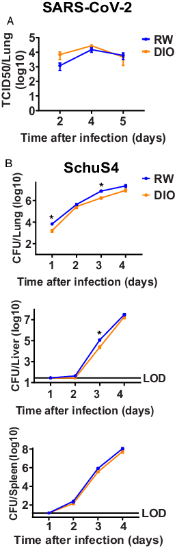 FIGURE 2. DIO mice exhibit little to no differences in pathogen burden postinfection. (A and B) RW and DIO mice were intranasally challenged with either 1000 PFU of SARS-CoV-2 (A) or 25 CFU of SchuS4 (B). At the indicated time points animals were euthanized and the lungs (A) or lungs, livers, and spleen (B) were aseptically removed for quantification of microbial burden. Significant numbers of DIO mice succumbed to SCV2 on day 6 and nearly all RW mice required euthanasia on day 5 after SchuS4 infection; therefore, the last time point collected for assessment of viral load was day 5 and bacterial burdens was day 4. Data were pooled from two experiments (n = 8–10 mice/group/time point). Statistical significance was calculated using a two-stage linear step-up procedure of Benjamini, Krieger, and Yekutieli with Q = 5% on log-transformed data. *p &lt; 0.05. Error bars represent SEM.