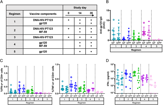Humoral and cellular responses to partial DNA-HIV-PT123 and gp120 vaccine regimens in GF and SPF mice. (A) Summary of DNA-HIV-PT123, gp120 MF59 vaccine regimens employed. (B) Serum gp120-specific IgG titers and (C) proportions of IFN-γ+ and TNF-α+ CD4+ T cells and (D) IFN-γ concentration in supernatant of gp120-stimulated splenocyte cultures from immunized (DNA + gp120 + MF59) (n = 11–12) and unimmunized (naive) (n = 4–5) GF and SPF mice. ICS flow cytometry was pregated on live, single, CD3+ CD4+ cells. Samples falling below the level of IFN-γ detection (15.6 pg/ml) were set at 7.81 pg/ml for visualization. Each data point represents an individual mouse from one or two experiments, depending on group. There were no significant differences between vaccine-matched GF and SPF groups (Mann–Whitney U test).
